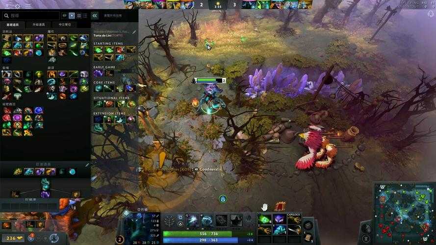 深入探索:Dota场景模型对战术策略的影响