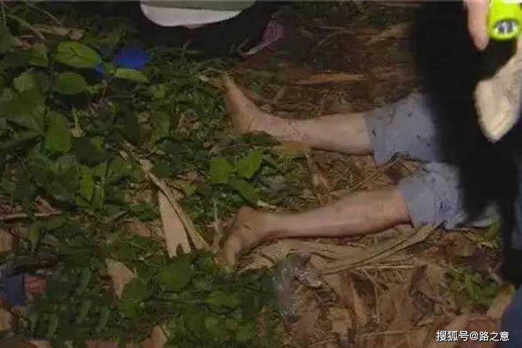 血色黄昏，男子撞伤路人后杀人抛尸案始末