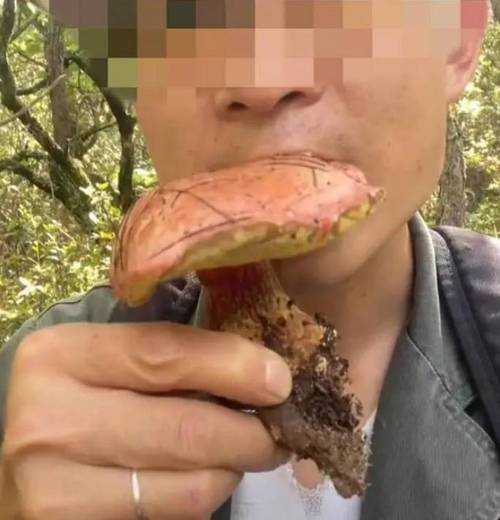 见手青中毒事件引发全网热议