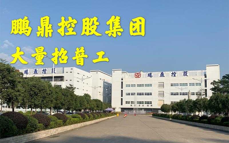 深圳蛋仔派对批发厂地址,深圳,批发 松岗