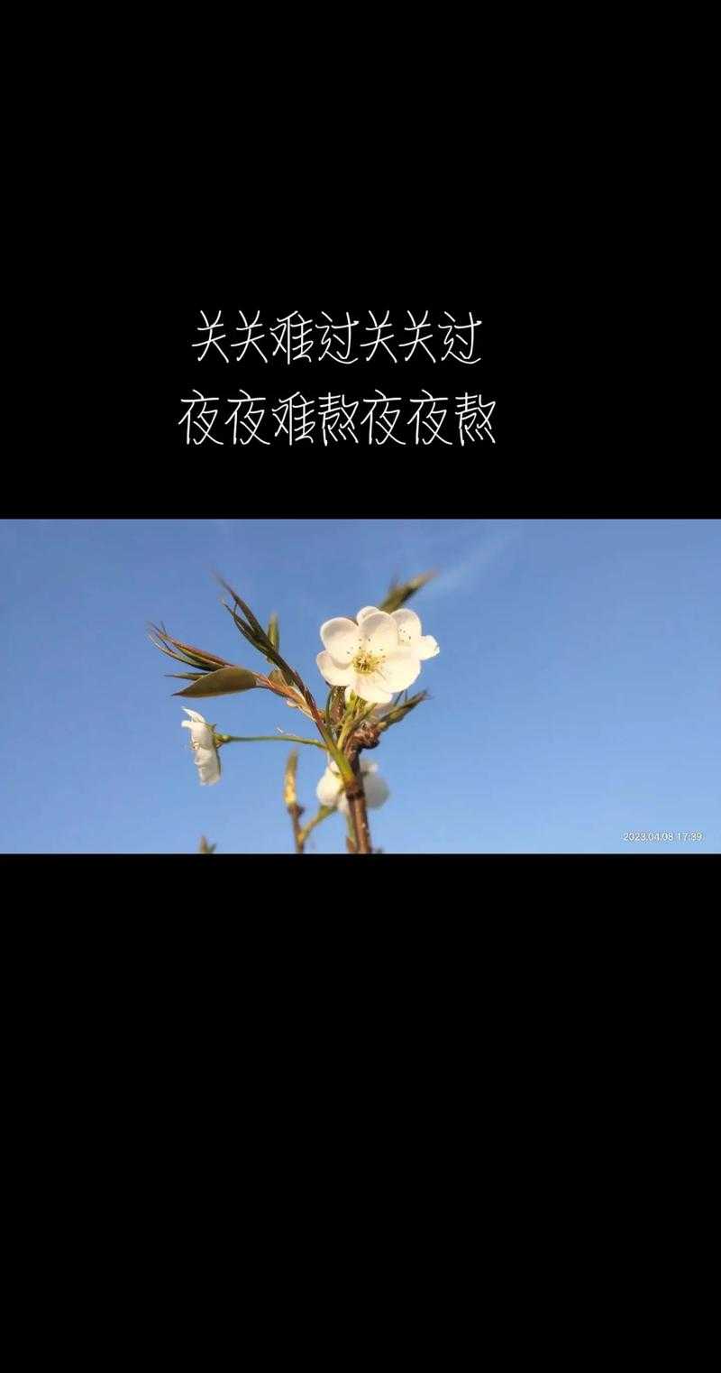 深夜情感话题:夜聊心事与人生感悟