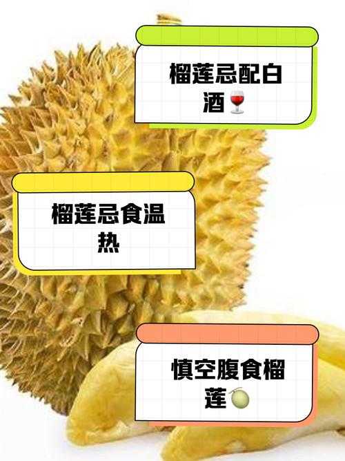深夜慎入榴莲禁忌链接大揭秘