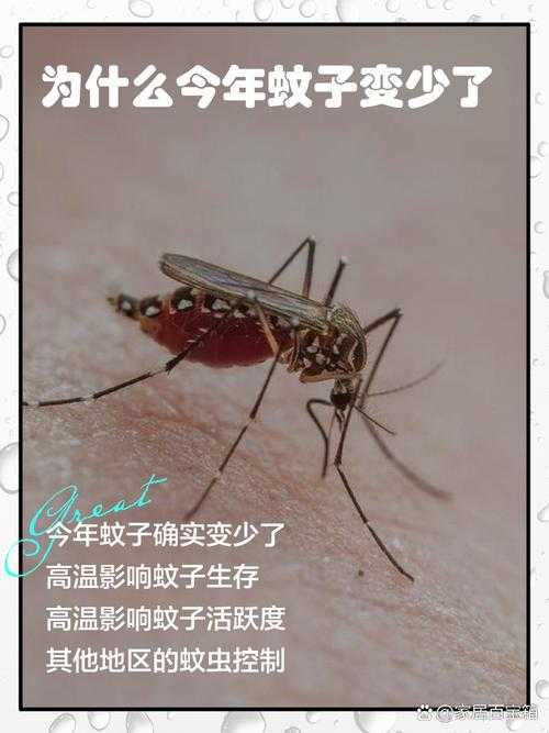 今年蚊子为何变懒？高温与气候变迁下的生存法则