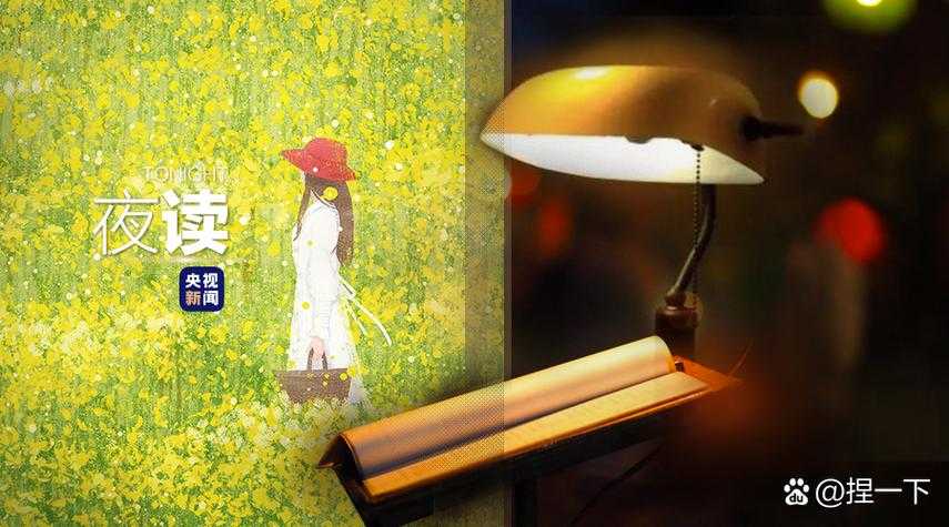 深夜独享B站：一个人的治愈时光