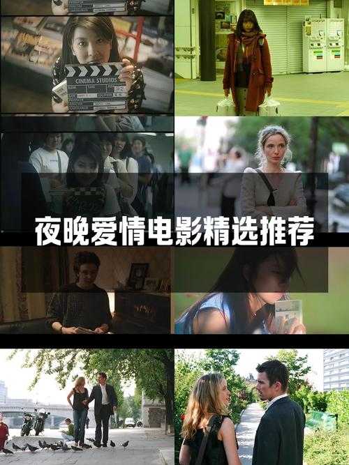 深夜独享免费影视资源