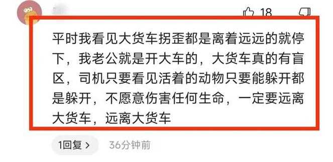 18轮上的青春葬礼,车轮碾碎的16岁人生与父爱困局