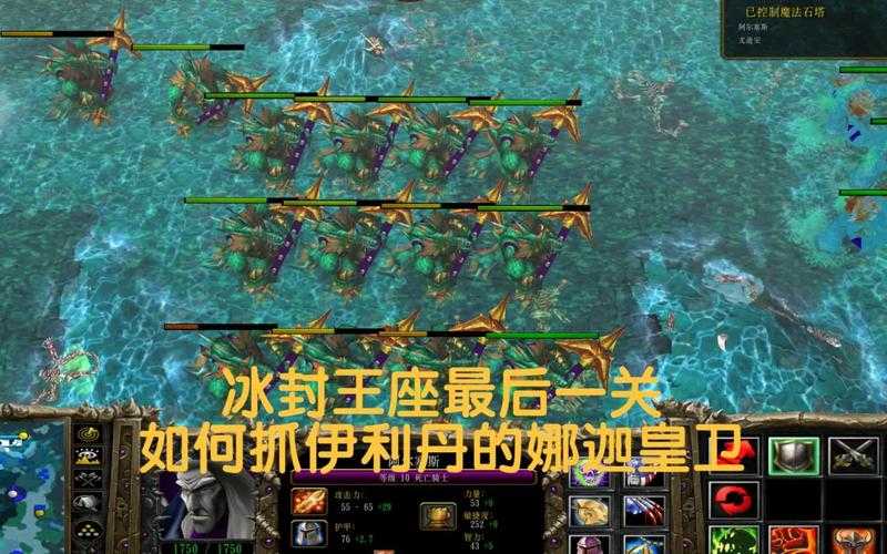 深度探讨：魔兽争霸中隐身娜迦与英雄搭配的最佳策略