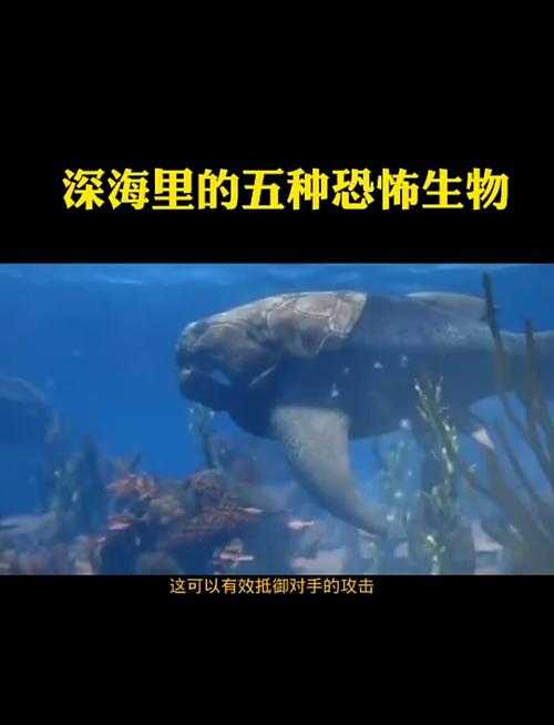 深海危机:全球海洋生态面临的致命威胁