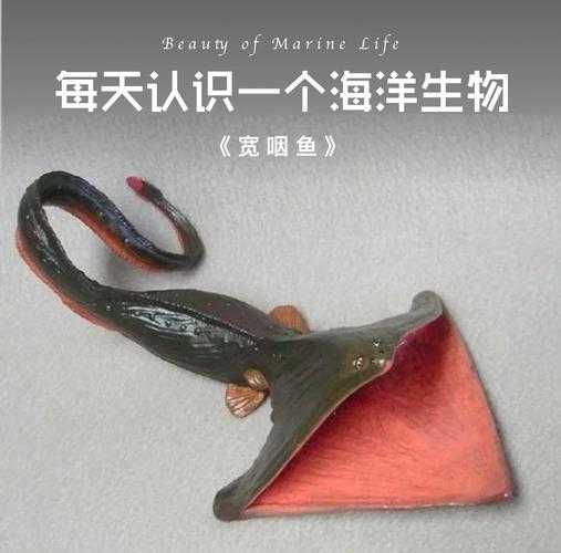深海吞食鱼海鲂的捕食奥秘与生态习性