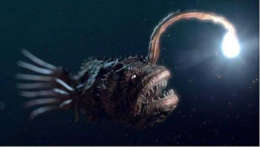 深海触手生物：神秘海洋生物的生存奥秘