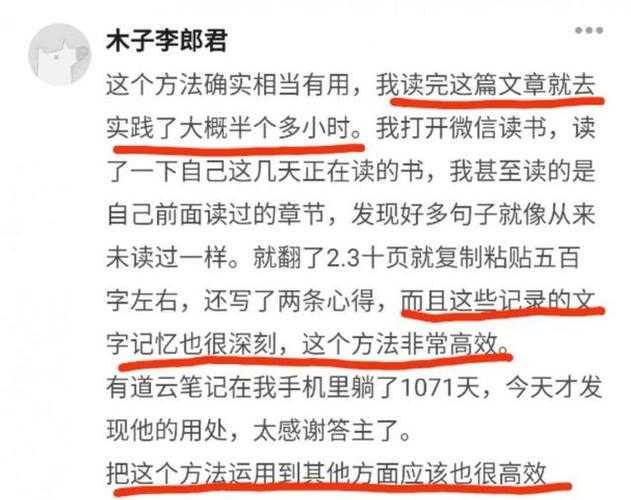 深耕细作TXT:高效文本处理与深度优化指南