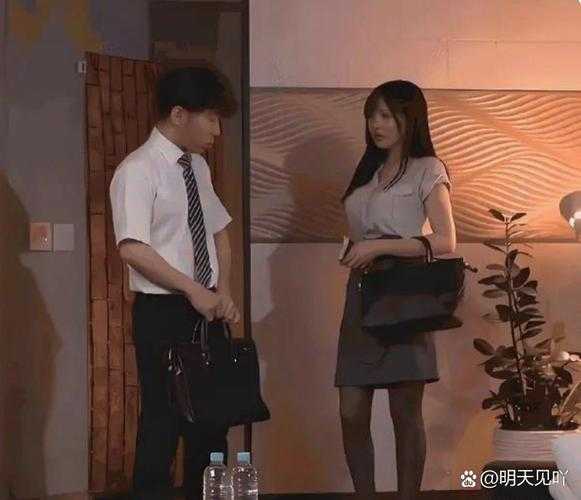 深闺禁忌之恋：强HNP伦理纠葛