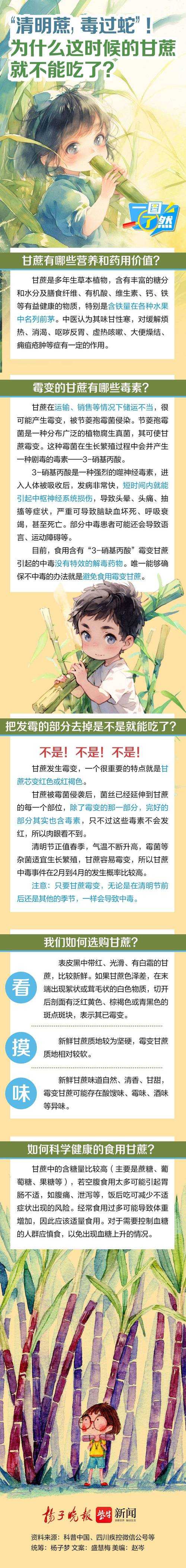 清明甘蔗毒过蛇?真相揭秘与安全食用指南