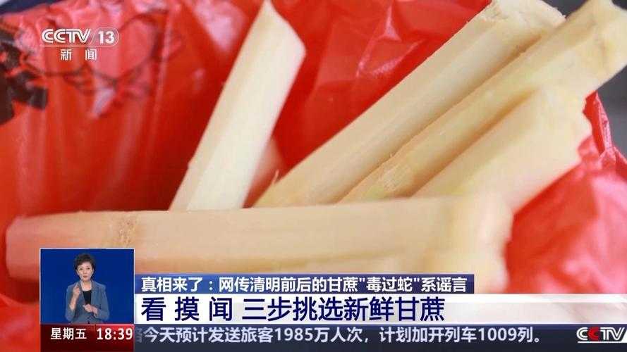 清明蔗毒如蛇？吃甘蔗必知的致命隐患