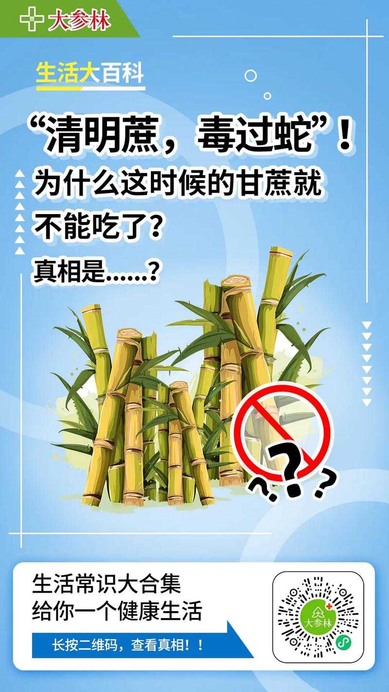 清明蔗毒过蛇?甘蔗食用安全警示