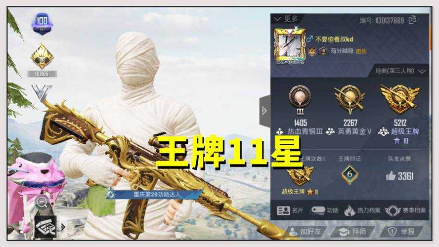 清朝压力怪和平精英,清代 精英,玩家