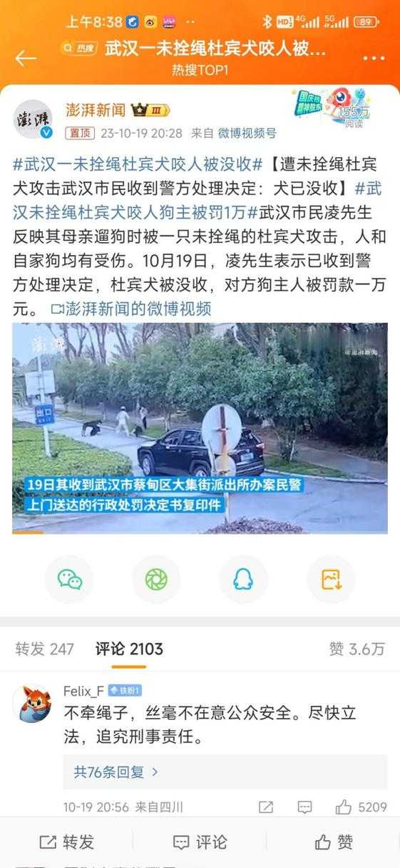 杜宾犬未拴绳引发冲突事件概述