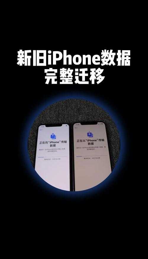 清理手机空间:有效移除苹果手机中的旧应用