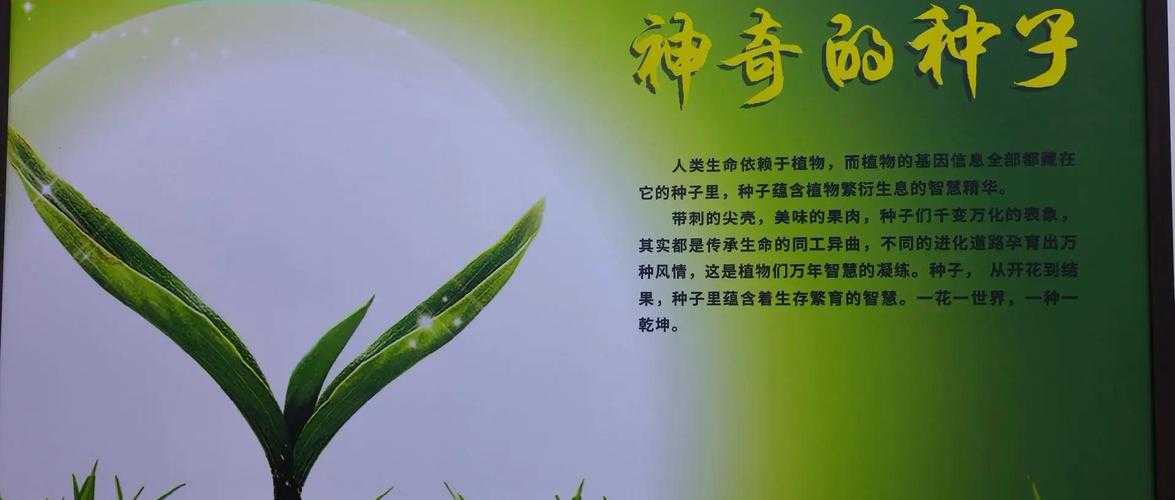生命种子的医学价值